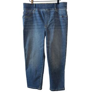 Spanx Vintage Indigo Straight Leg Medium Wash Pull On 2X Tall Jeans